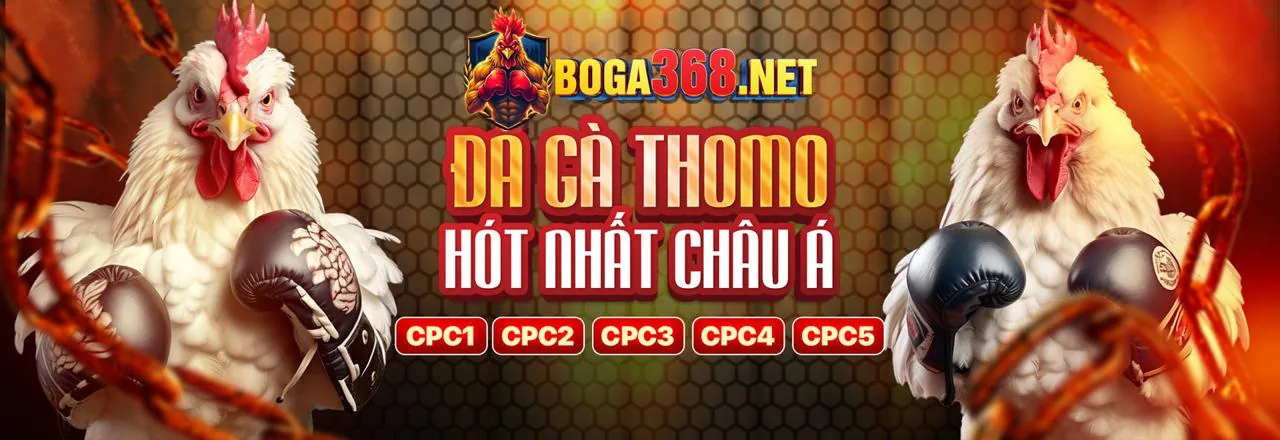 Tổng quan về 88on, nền tảng giải trí trực tuyến hàng đầu Việt Nam