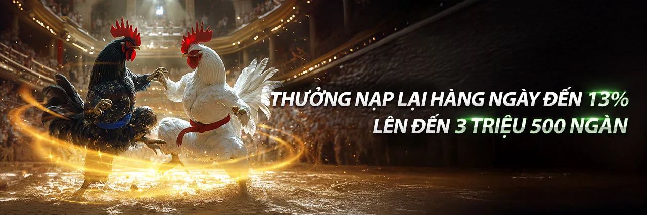 Sân đấu đá gà kịch tính tại 88on
