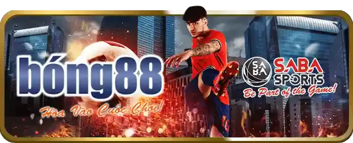 Liên hệ hỗ trợ 88on